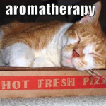 Aromatická terapia