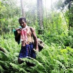 Muž, ktorý sám vypestoval 500000 hektárový les 
